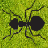 BugCrusher icon