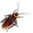 Bug Smash icon