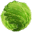 CabbageGame icon