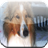 Collie Game icon