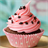 Crazy for Cupcakes icon