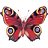 Flowers & Butterfly icon