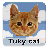 Flying Cat TUKKY Cat icon