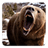 Bear Sound icon
