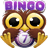 Bingo Crack icon