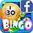 Bingo Fever for Facebook version 1.04