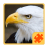 Birds Puzzle icon