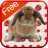 Bunny Fun icon