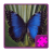 Descargar Butterfly Puzzle