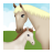 Horse Pregnancy 2 icon