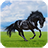 HorsePuzzle icon