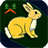 Rabbit Looking For Carrot icon