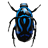 Tiny beetles icon