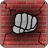 WallPuncher icon