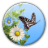 Butterfly APK Download