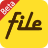 File Expert Concept icon