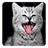 Cat Shaker icon