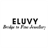 Eluvy icon