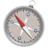 Steady Compass icon