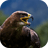 Birds memory Game icon
