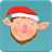 Angry Elves icon