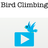 Bird Climbing icon