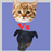 Cats Vs Dogs icon