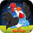 Chicken Run Game icon