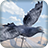 Eagle Attack - Bird Flight 3D icon