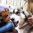 Doggy Pet Go Virtual APK Download