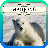 Hidden Layers Polar Bears icon
