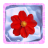 Icy Flower icon