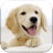 Dog Pairs icon
