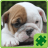 Dogs Puzzle icon