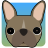 Magic 8 Bulldog icon