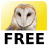 Magic Owl icon