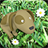 Pigmy Pets icon