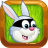 RabbitRun icon
