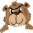 SmashBeavers icon