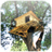 Treehouse Puzzle icon