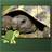 turtlespuzzlesforkids icon