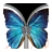 Zipper Lock Screen Butterfly icon