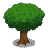3D Trees icon