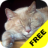 Baby Cats FREE icon