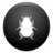 Beetle Battle icon