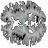Brain viewer icon