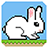 Bunny Jumper version 1.0