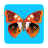 Butterfly version 1.0.2