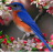 Cute Birds Puzzle Game icon