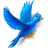 Derpy Dove icon